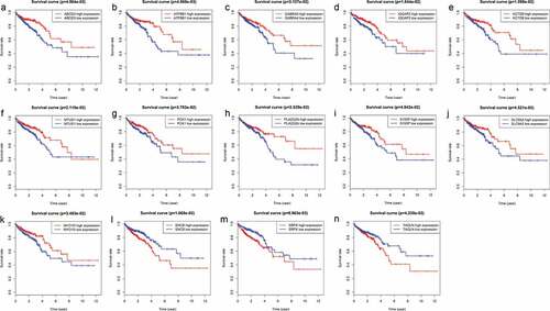 Figure 4. Genes associated with patient’s survival outcomes by applying the K-M method in “survival” R package.