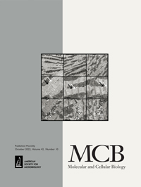 Cover image for Molecular and Cellular Biology, Volume 42, Issue 10, 2022