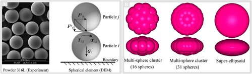 Figure 5. Discrete powder models in MAM: (A) Spherical powder model using DEM adapted from Chen et al. [Citation54]; (B) non-spherical powder models represented by multi-spheres and super-ellipsoids adapted from [Citation55].