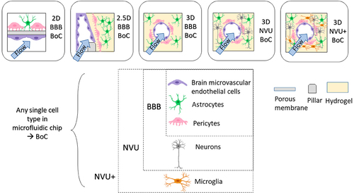 Figure 2. Classification of brain-on-a-chip devices (BoC) based on construct geometry and cell typesCitation17.