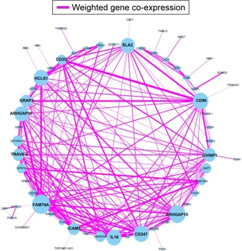 Figure 3 Weighted co-expression network for turquoise module prognosis-related genes.