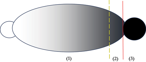 Figure 1. Dividing lines in international collaborations.