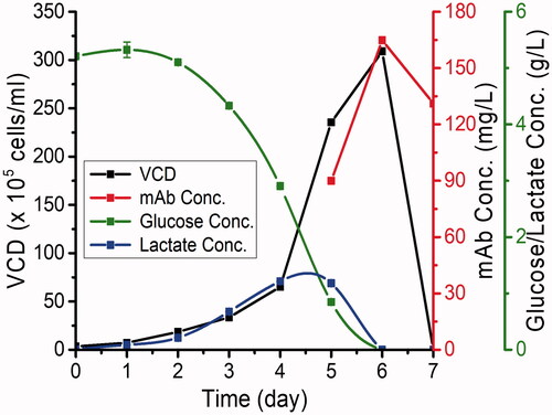 Figure 1. Volumetric production of P-mAb using a stable CHO-S clone (expressing anti-EGFR P-mAb) in batch culture.