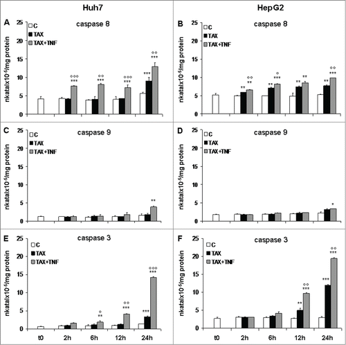 Figure 4. Caspase 8, 9, and 3 activity in HCC cells treated with TAX or TAX+TNF. Huh7 (left panels) and HepG2 (right panels) cells exposed to 0.1 μM TAX or TAX plus 15 ng/ml TNF for 2, 6, 12 and 24 hours. Caspase activities measured as indicated in Materials and Methods, data (means±SD ) expressed as nkatal×10–5/mg protein. Panels A and B, caspase 8; panels C and D, caspase 9; panels E and F, caspase 3. Significance of the differences vs controls: *P < 0.05, **P < 0.01 and ***P < 0.001; vs TAX: °P < 0.05, °°P < 0.01 and °°°P < 0.001.