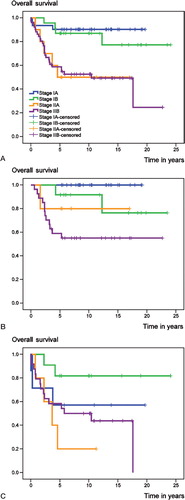 Figure 3. Overall survival in the entire group (A), the E group (B), and the AP group (C) according to the AJCC staging system.