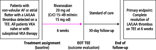 Figure 1. X-TRA study design. CrCl: creatinine clearance; EOT: end of treatment.