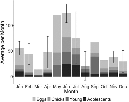 Figure 1. Mean (±SD) number of active Red-tailed Tropicbirds nests recorded by month at Raine Island, subdivided according to life stage (eggs, chicks, young, and adolescents – see Methods).