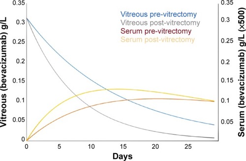 Figure 1 Time-dependent vitreous and serum bevacizumab concentrations in patients before and after vitrectomy.