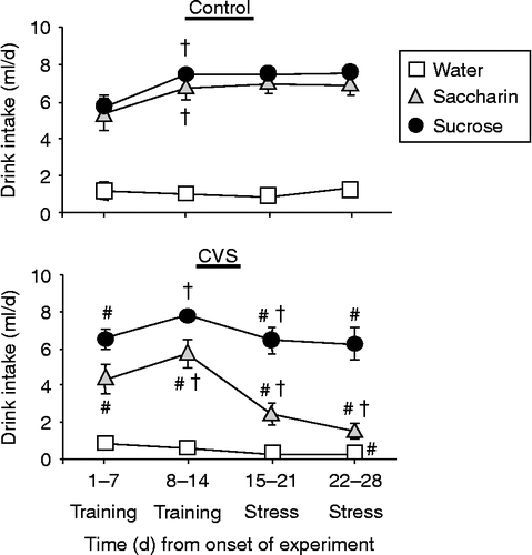 Figure 1.  Time course of mean daily drink intake of (a) sucrose or saccharin solution, or water (8 ml/day max) in control and (b) CVS rats receiving twice daily access to these drink solutions in addition to ad libitum food and water. Abscissa numbers are days. Palatable drink intake was reduced during chronic stress. All values for sucrose and saccharin intake were significantly different from water intake (p < 0.05). #p < 0.05 vs. nonCVS control; †p < 0.05 vs. the previous timepoint by post hoc analysis. Abbreviations: CVS, chronic variable stress. Graph reproduced from Ulrich-Lai et al. (Citation2007), Copyright 2007 The Endocrine Society.