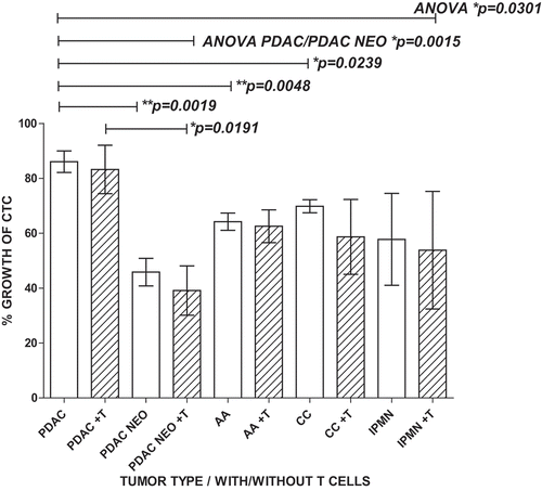 Figure 3. PDAC CTC are the most proliferative and most resistant to T cell cytotoxicity in MCR compared to other Peri-ampullary tumor types. Comparison of 23 patients’ CTC proliferation in culture alone (white bars) or in MCR with T cells (+T, hatched bars) indicated that T cells had little to no effect on CTC proliferation in any tumor type tested (PDAC (n = 7; 4 with pre-operative chemotherapy treatment (PDAC NEO), Ampullary (AA, n = 11), Cholangiocarcinoma (CC, n = 2), and intrapapillary mucinous neoplasm (IPMN, n = 3)). PDAC CTC proliferation was significantly greater than all other tumor types tested (p = 0.0301). Pre-operative chemotherapeutic treatment (PDAC NEO) of patients prior to surgery significantly decreased PDAC CTC proliferation with or without T cells present (p = 0.0019, p = 0.0191, respectively). Columns represent mean of data set (duplicate wells/sample whenever possible) and error bars represent standard error from the mean. Multiple variable analyses were done using a one-way ANOVA with Bonferroni Pairwise comparisons and pairwise comparisons were due using Mann-Whitney U test, as appropriate.