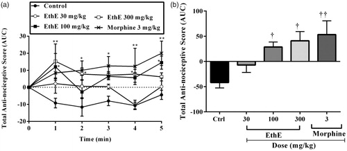 Figure 2. Effect of pretreatment of rats with EthE (30–300 mg/kg, p.o.) and morphine (3 mg/kg, i.p.) on IL-1β-induced hypernociception. Each datum represents the mean of five animals and the error bars indicate SEM. The symbols * and † indicate significance levels compared to respective control groups: (a) represents the time-course curves **p < 0.01, *p < 0.05 (two-way ANOVA followed by Bonferroni’s post hoc test), whereas (b) represents total anti-nociceptive effects (AUC) ††p < 0.01 and †p < 0.05 (one-way ANOVA followed by Newman–Keuls post hoc test).