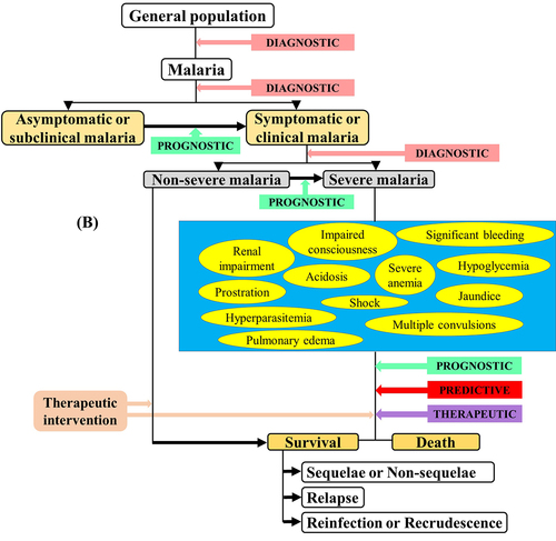 Figure 3B. Importance (A) and categorization (B) of biomarkers in malaria infection.