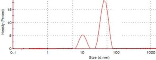 Figure 2. Particle size distribution of SNPs and SNPs@AC composite.