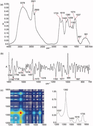 Figure 1. Fingerprint of VAE in (a) conventional FTIR, (b) second derivative in the range of 1800–700 cm−1, and (c) 2D-correlation IR spectra in the range of 1200–1800 cm−1.