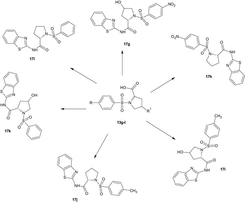 Scheme 4. Proline derived benzenesulphonamides (17g–l).