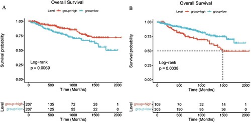 Figure 6. Correlation between the expression of CD24 and PTPRC and MM survival. (A) Overall survival analysis of CD24 for MM patients. (B) Overall survival analysis of PTPRC for MM patients.