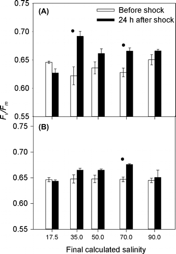 Figure 6. Fv/Fm of C. closterium cultures grown in (A) 0% and (B) 0.75% xanthan gum. Means and SE bars are shown for Fv/Fm before and 24 h after exposure to salt shock (of final salinities 17.5 to 90 ppt) (n = 5). Display full size = a significant difference between the Fv/Fm before and after the salinity shock (p < 0.05).