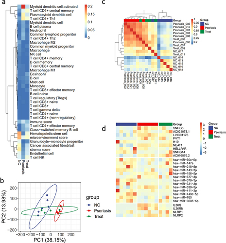 Figure 1 Analysis of the immune microenvironment of psoriatic lesions and trend gene heat map. (a) RNA-seq deconvolution showed significant activation of plasmacytoid dendritic memory cells and T cell CD4+ Th1 in the model group, with the treated group returning to levels similar to those in the NC group. (b) PCA cluster analysis. (c) cluster analysis. (d) Trend gene heat map.