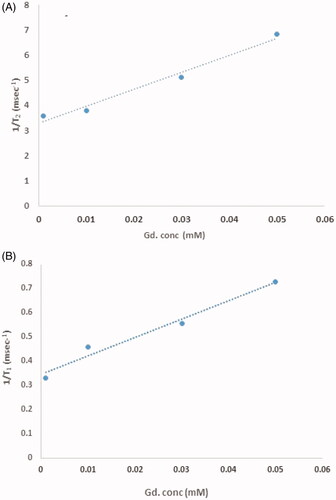 Figure 10. Digrams of relaxivity values in stem cells based on spin-echo and gradient echo protocol; (A) r2, (B) r1. Better relaxivity results shows nanoprobes are proper contrast agent for stem cell labelling compared to phantom.