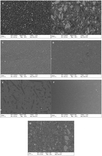 Figure 3. SEM photomicrographs of polished surface (4000 grit) of investigated materials. (A) Activa; (B) G-aenial Ant; (C) everX Flow; (D) Filtek BF; (E) Alert; (F) Flo X; (G) BEAUTIFIL-II.