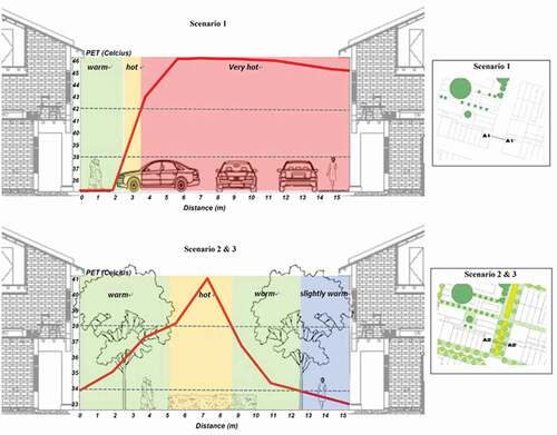 Figure 18. The cross-section showed the thermal comfort improvement (at the pedestrian level of 1.75 m) after a road was transformed into a vegetated pedestrian zone.