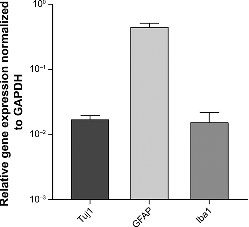 Figure S1 Quantitative RT-PCR of neuron-glia cocultures.Notes: Numbers of neurons (Tuj1), astrocytes (GFAP) and microglia (Iba1) in coculture were determined at 10 DIV. Shown are relative gene expression levels, normalized to GAPDH (logarithmic scaling). Note corresponding expression levels of microglial cells and neurons.Abbreviations: GAPDH, glycerinaldehyd-3-phosphat-Dehydrogenase; RT-PCR, real-time polymerase chain reaction; DIV, days in vitro.