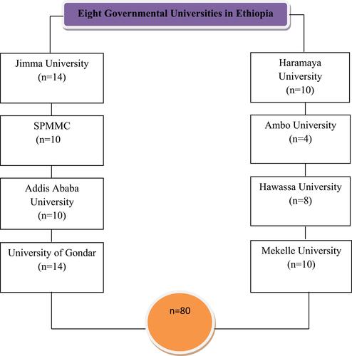 Figure 1 Sampling frame of study participants from eight governmental Universities in Ethiopia.