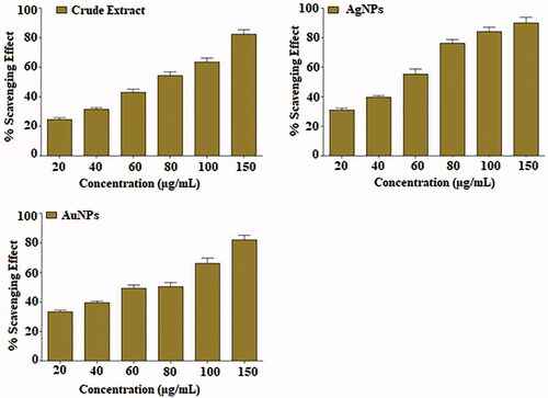 Figure 7. DPPH radical scavenging activity of MLE and NPs with 20–150 µg/mL. The results are presented as mean ± SEM of three different readings SEM: standard error mean.