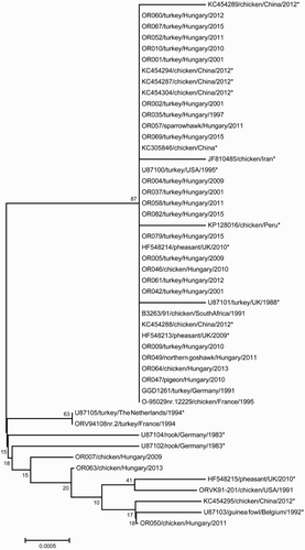 Figure 1. Phylogenetic tree constructed from the partial 16S rRNA nucleotide sequences of Ornithobacterium rhinotracheale isolates (nucleotides 64–1398 based on the nucleotide positions of LMG 9086 T, accession no. U87101). Because 34 of the 37 field isolates showed 100% similarity in this region, only 25 field isolates are included here. *Reference sequences from GenBank.