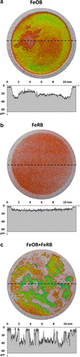 Figure 2. 3D profilometry representations of CS surfaces after 49 d exposure under different oxygen conditions and bacterial additions in amended IO. Dashed lines indicate locations of associated extracted line scan profiles. Areas with little to no attack are represented as gray. (a) Uniform morphology of corrosion after aerobic exposure with FeOB M. ferrooxydans PV-1. (b) Light uniform corrosion after anaerobic exposure with FeRB Geothermobacter sp. HR-1. (c) Roughened surface with areas of deep attack surrounded by unattacked metal after exposure to aerobic conditions with co-cultures of FeOB M. ferrooxydans PV-1 and FeRB Geothermobacter sp. HR-1.