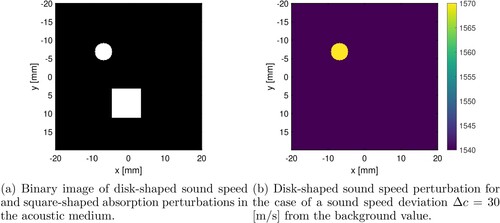 Figure A1. Profile for acoustic medium used for testing Jacobian robustness for sound speed heterogeneities. (a) Binary image of disk-shaped sound speed and square-shaped absorption perturbations in the acoustic medium and (b) Disk-shaped sound speed perturbation for the case of a sound speed deviation Δc=30 [m/s] from the background value.