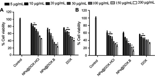 Figure 10 Cell growth inhibitory effects of the DOX solution, DOX.HCl loaded LPHNPs and DOX base loaded LPHNPs measured after 24 hours (A) and 48 hours (B) incubation along PC3 cells. The activity was determined by CellTiter Glo viability assay. Results are presented with error bar, indicating mean±SD (n=3). *Significant where P>0.05, **significant where P>0.01.Abbreviations: DOX, doxorubicin; DOX-HCl, doxorubicin hydrochloride; LPHNPs, lipid polymer hybrid nanoparticles; ns, non-significance.