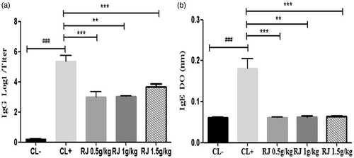 Figure 4. Effect of royal jelly administration on IgG (a) and IgE (b) titers in response to β-Lg sensitization. Data are mean ± SE (standard error). (###p < 0.001 compared with unsensitized mice (CL−). **p < 0.01; ***p < 0.001 compared with positive control mice (CL+); n = 10 per group).