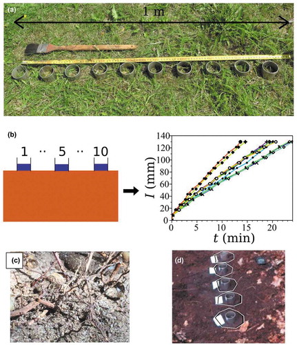 Figure 1. Field experimental set-up of the Beerkan multi-runs (BMR) procedure: (a) BMR test over a grass soil; (b) schematic chart of the methodology; (c) water repellency at the site; and (d) infiltration bulbs at the end of the experiments for transect Tr 2.