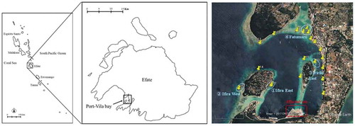 Figure 3. Location of Port–Vila Bay, assessed sites (yellow pin), selected candidate sites (blue circles) and affected site (red squarish circle)