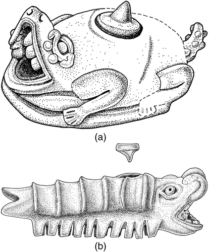 Figure 2 (a) Lamanai, crocodile-like effigy vessel cached at the base of a stela (Stela 4). The stela was erected at the junction of the nave and sanctuary of the second church built at Lamanai (YDL II). Also found were a re-cut jade pendant in the form of a human face and a fragmentary jade bead. LA 423/4. Length of figure = 9.7cm (drawing by Louise Belanger). (b) Lamanai, centipede-lobster effigy figure (Cache N12-11/3, LA 3035/1) found at the base of the north stair of the first church at Lamanai, YDL I. The contents of the vessel comprised two chert bifaces (LA 3035/2,3), a stingray spine (LA 3035/4,5 (in two fragments) and three shark's teeth (LA 3035/5,6,7). Length of the effigy = 21cm (drawing by Louise Belanger).