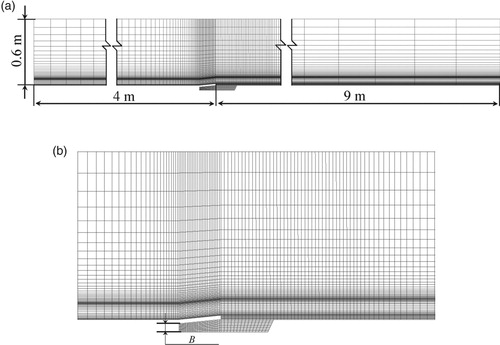 Figure 6. Computational domain and grid: (a) computational domain; (b) local grid.