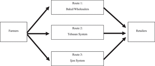Figure 3. Simplified tuban tangerine logistic routes