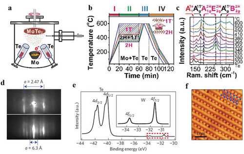 Figure 3. MBE growth of MoTe2 and WTe2 films. (a). Schematic diagram of the MBE growth setup for MoTe2. Reproduced from [Citation76]. (b). Growth process control of the MBE growth of 1T’ and 2H MoTe2. Reproduced from [Citation76]. (c). Raman spectra of the MoTe2 films grown at different temperatures. Reproduced from [Citation76]. (d). RHEED patterns of graphene substrate (top) and sub-monolayer 1T’ WTe2 (bottom). Reproduced from [Citation50]. (e). Core level spectra of 1T’ WTe2. Reproduced from [Citation50]. (f). Atomically resolved STM image of 1T’ WTe2. Reproduced from [Citation50].