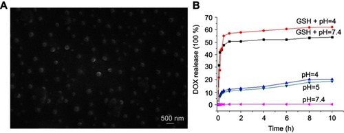 Figure 2 (A) SEM image of DOX-loaded CAAP5G vesicles; (B) DOX release profiles from DOX-loaded CAAP5G vesicles in PBS with GSH (10mM) + pH (4.0), GSH (10 mM)+ pH (7.4), pH (4.0), pH (5.0) and pH (7.4) (n=3).
