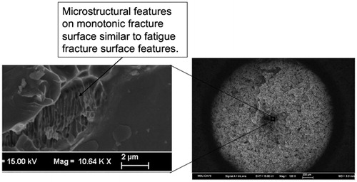 5. Monotonic tension specimen reported by Allison et al.Citation36 with microstructural features similar to uniaxial fatigue specimens