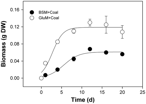 Fig. 1. Growth curves of N. fischeri strain ECCN 84 in liquid culture.Notes: Spores were inoculated into either basal salt medium or glutamate supplemented basal salt medium (GluM) containing sterile powdered waste coal and incubated for 20 d at 30 °C. At the specified intervals, biomass accumulation was determined after drying at 50 °C for 24 h. Data are the mean of at least three determinations ± SD.