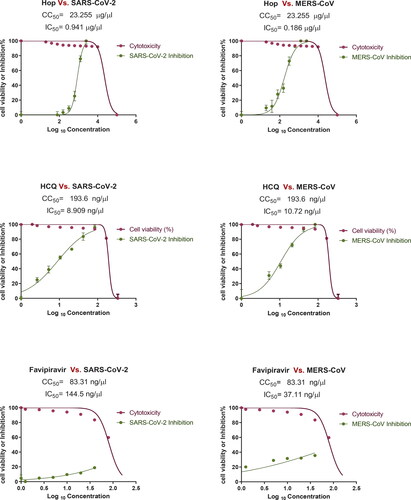 Figure 1. Cytotoxicity and inhibitory effect of H. lupulus crude extract on Vero E6 cells. EC50 for MERS-CoV and SARS-CoV-2.