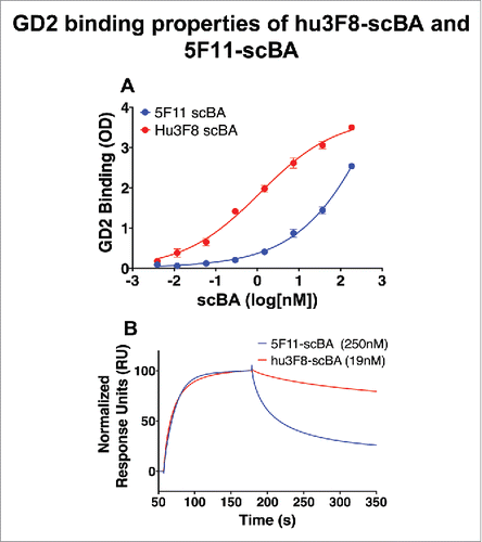 Figure 2. GD2 binding properties of hu3F8-scBA and 5F11-scBA. (A) Comparison of hu3F8-scBA and 5F11-scBA GD2 binding by ELISA. (B) Comparison of hu3F8-scBA and 5F11-scBA GD2 binding kinetics by SPR. Sensorgram depicts 1,000 nM run from each scBA binding to GD2, normalized to 100 RU.