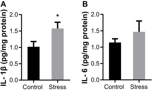 Figure 5 Effects of intermittent social defeat stress on the levels of cytokines interleukin (IL) −1β and IL-6.