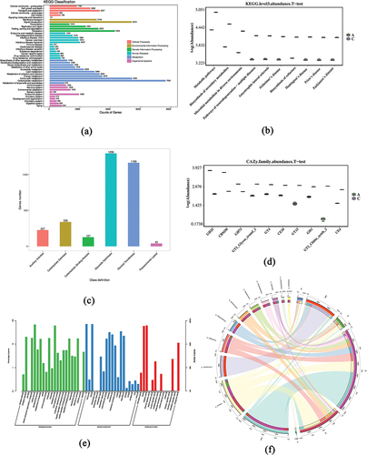 Figure 3. Functional annotation (Group A: JDSB, Group C: jiaotou). (a) Kyoto Encyclopedia of Genes and Genomes analysis. (b) Boxplot of the abundance of the top 10 differences in KEGG functions. (c) CAZy analysis. (d) Boxplot of the abundance of the top 10 differences in CAZy functions. (e) Gene Ontology. (f) Circos relationship between species and functions. Here, the first circle displays the percentage of species and functions and the second circle is the main block marked with different colors and labels. The block is surrounded by a scale that represents the absolute abundance of information of species and functions. The third circle corresponds to the sub-block (the second circle) and illustrates the abundance of each species in each function, as well as the abundance information of each species contained in each function. The fourth circle matches the sub-block in the third circle and displays the information of species and functions by connecting lines.