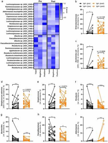 Figure 4. Bariatric surgery changes the IgA coating of intestinal bacteria.