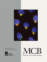 Cover image for Molecular and Cellular Biology, Volume 37, Issue 10, 2017