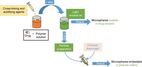 Figure 4 Fabrication process from thermoresponsive materials starts from a polymer–drug solution poured into light mineral oil to create a suspension of microspheres that can be mixed with another thermogel matrix to embed them in it.