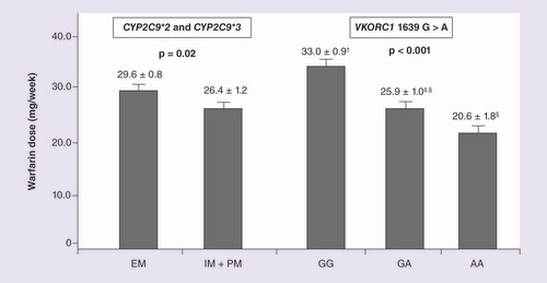 Figure 2.  Warfarin dose in the patients on stable maintenance dose (derivation sample) according to CYP2C9 and VKORC1 polymorphisms from first cohort (n = 368). CYP2C9*2 c.C445T (rs1799853), CYP2C9*3 c.A1100C (rs1057910) and VKORC1 c.G1639A (rs9923231) polymorphisms. Data are expressed as mean ± standard error. Values for the VKORC1 genotypes (GG, n = 174; GA, n = 151; AA, n = 43) with different superscript symbols (†,‡,§) are significantly different (Tukey’s post hoc test). These data were adjusted for age, gender, BMI and race. Stable maintenance dose means three consecutive values of INR between 1.8 and 3.2 (including the current test).EM: Extensive metabolizer (n = 269); IM: Intermediate metabolizer; PM: Poor metabolizer (IM + PM, n = 99).